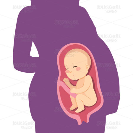 Baby On Womb Clipart Vector Illustration 03724