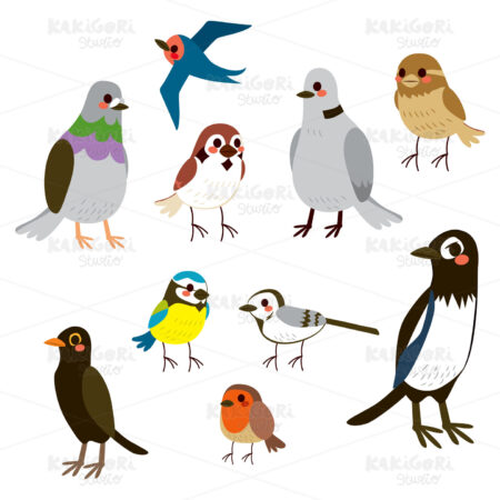 Bird Collection Set Clipart Vector Illustration 02450