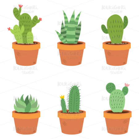 Cactus Set Collection Clipart Vector Illustration 03950
