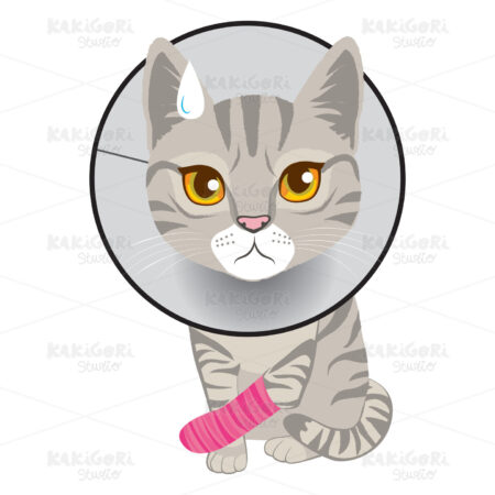 Cat Broken Leg Clipart Vector Illustration 04179
