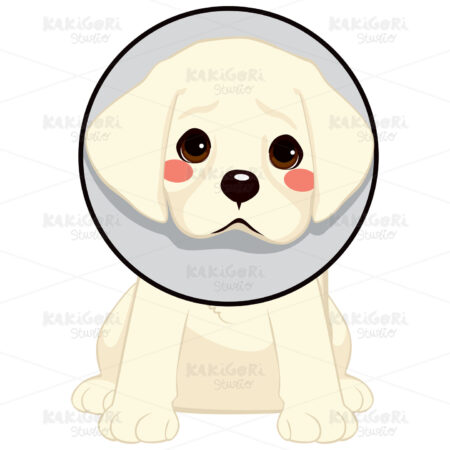 Dog With Cone Clipart Vector Illustration 03112