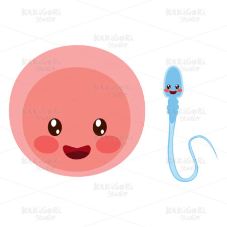 Egg Cell And Sperm Clipart Vector Illustration 04192