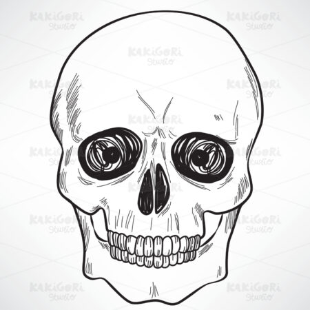 Human Skull Clipart Vector Illustration 03761