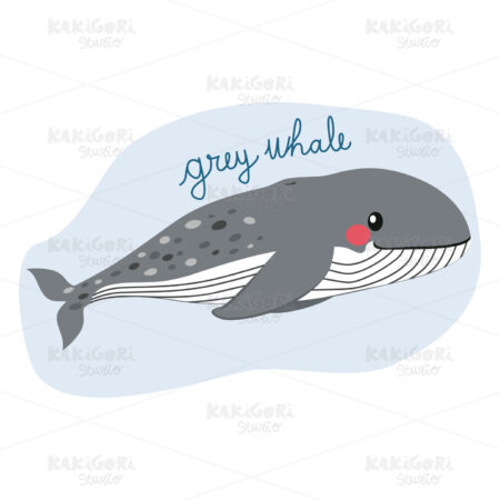Large Grey Whale Clipart Vector Illustration 03979