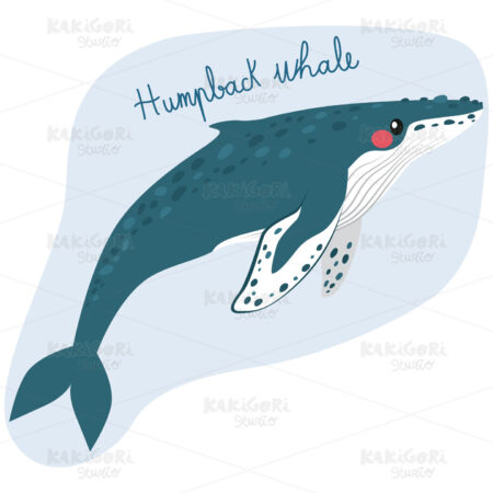 Large Humpback Whale Clipart Vector Illustration 03988