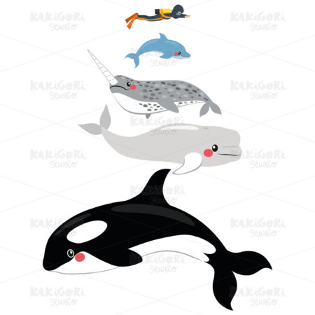 Marine Mammal Scale Clipart Vector Illustration 04114