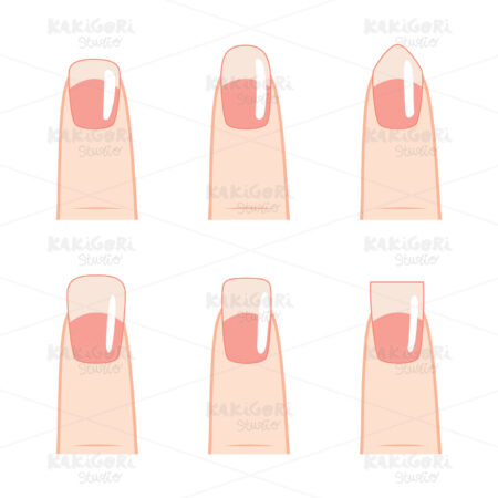 Nail Shape Collection Clipart Vector Illustration 03575