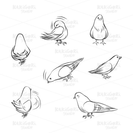 Outline Pigeon Actions Clipart Vector Illustration 01895