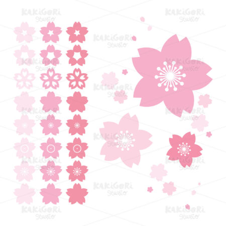 Sakura Cherry Flower Clipart Vector Illustration 04556