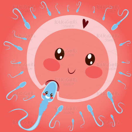 Sperm Entering Egg Cell Clipart Vector Illustration 04193