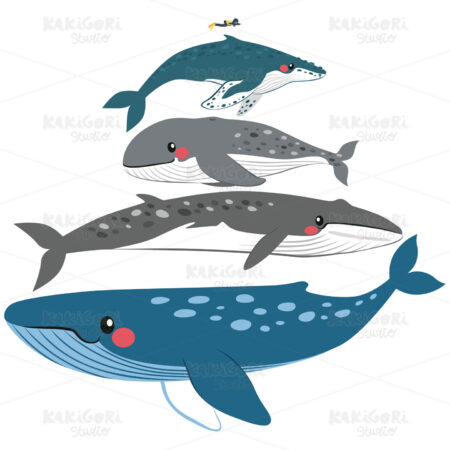 Whale Scale Comparison Clipart Vector Illustration 04004